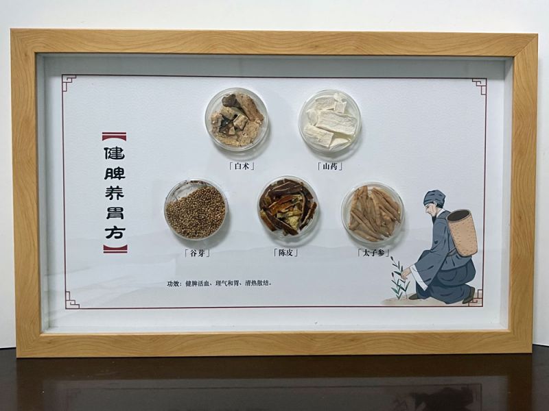 健脾養(yǎng)胃方-中藥方劑標本