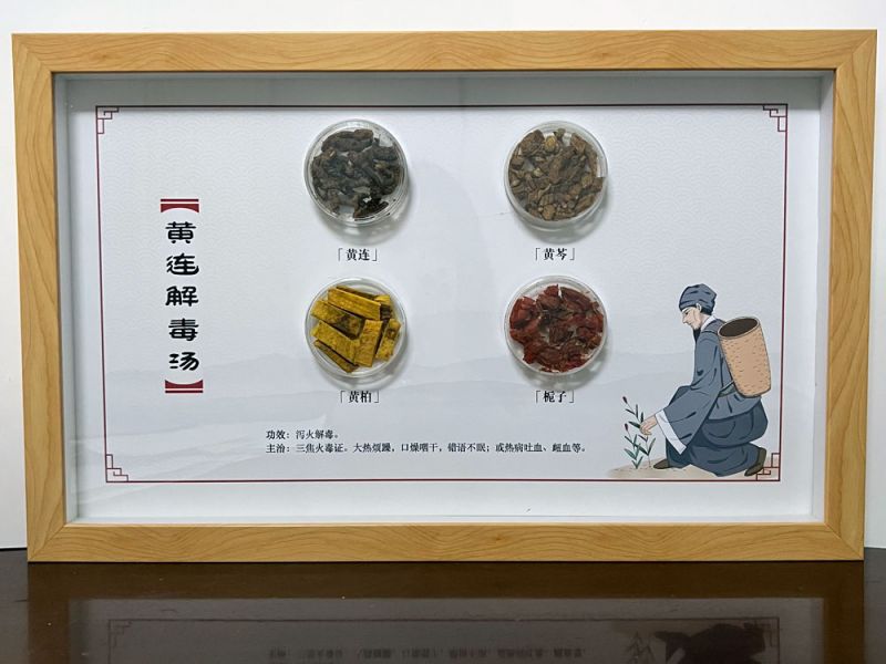 黃連解毒湯-中藥方劑標本